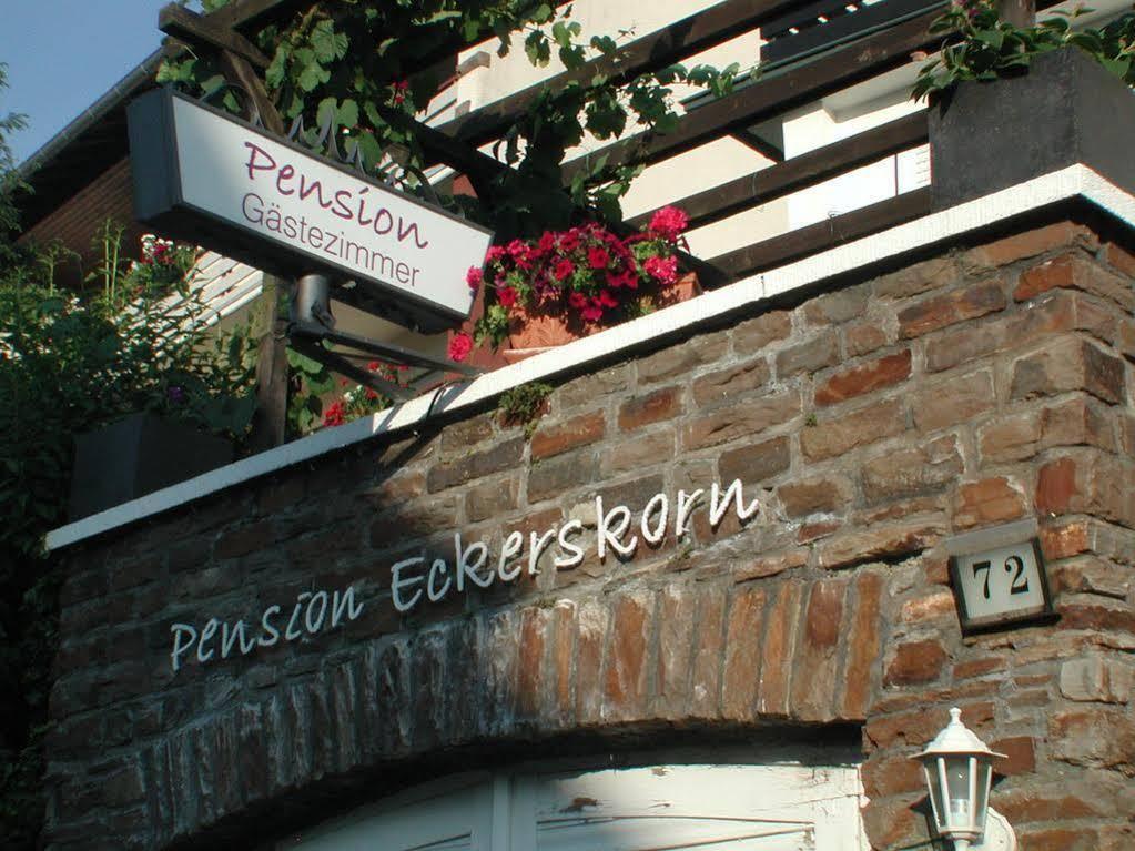 Haus Uebernachtenswert Cochem Mosel Exterior photo